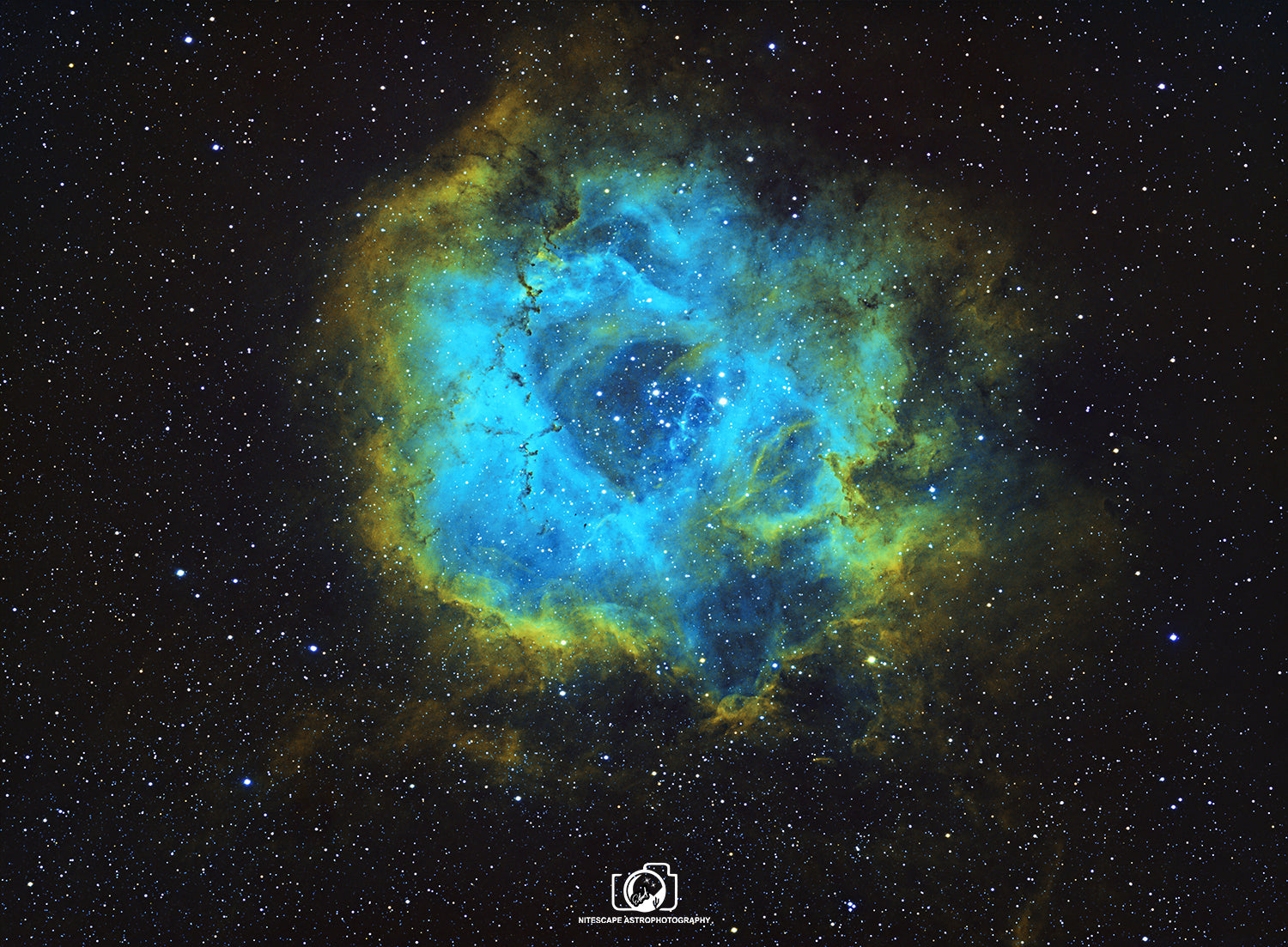 Processing Video for Narrowband Image of Rosette Nebula