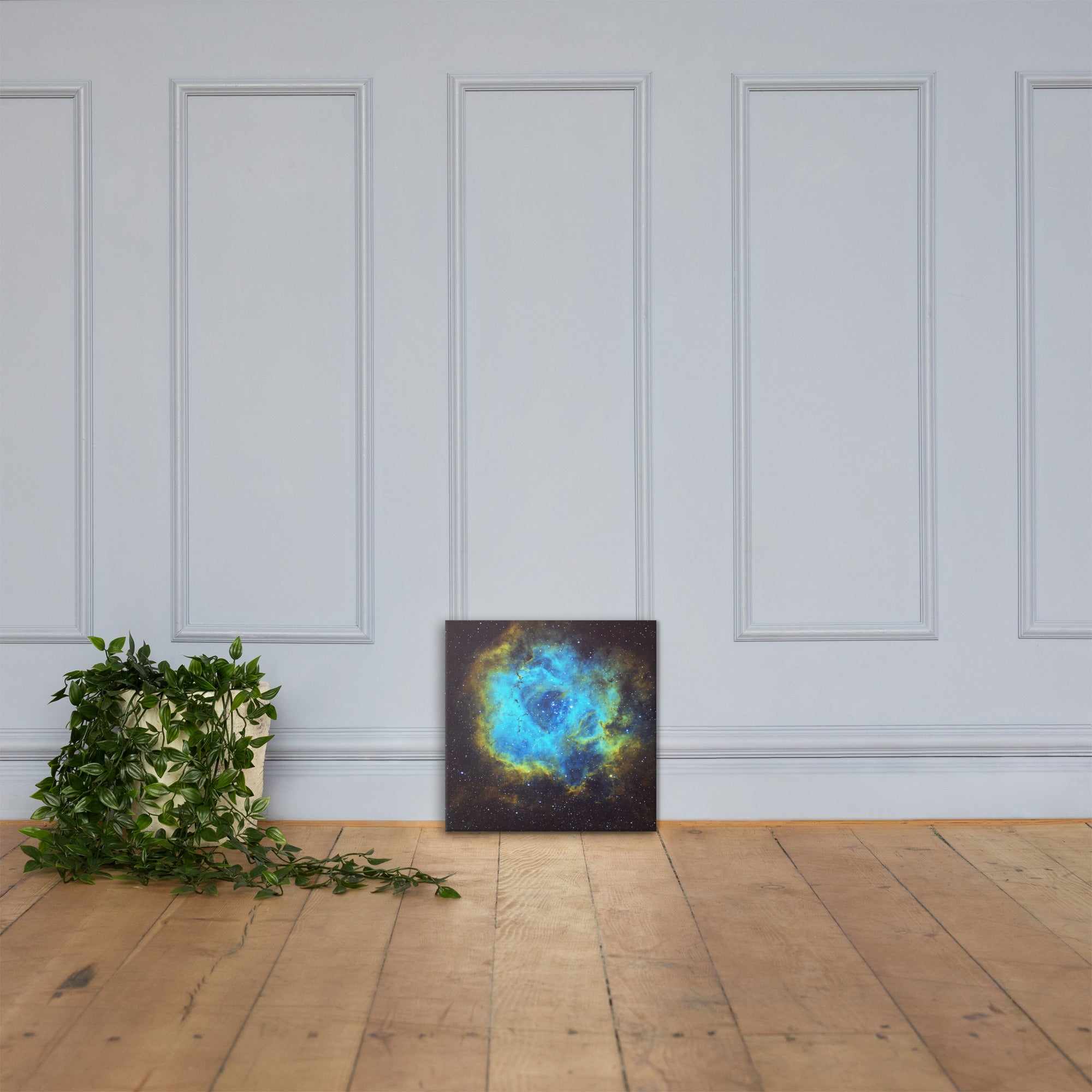 Canvas prints: Rosette Nebula Hubble Palette