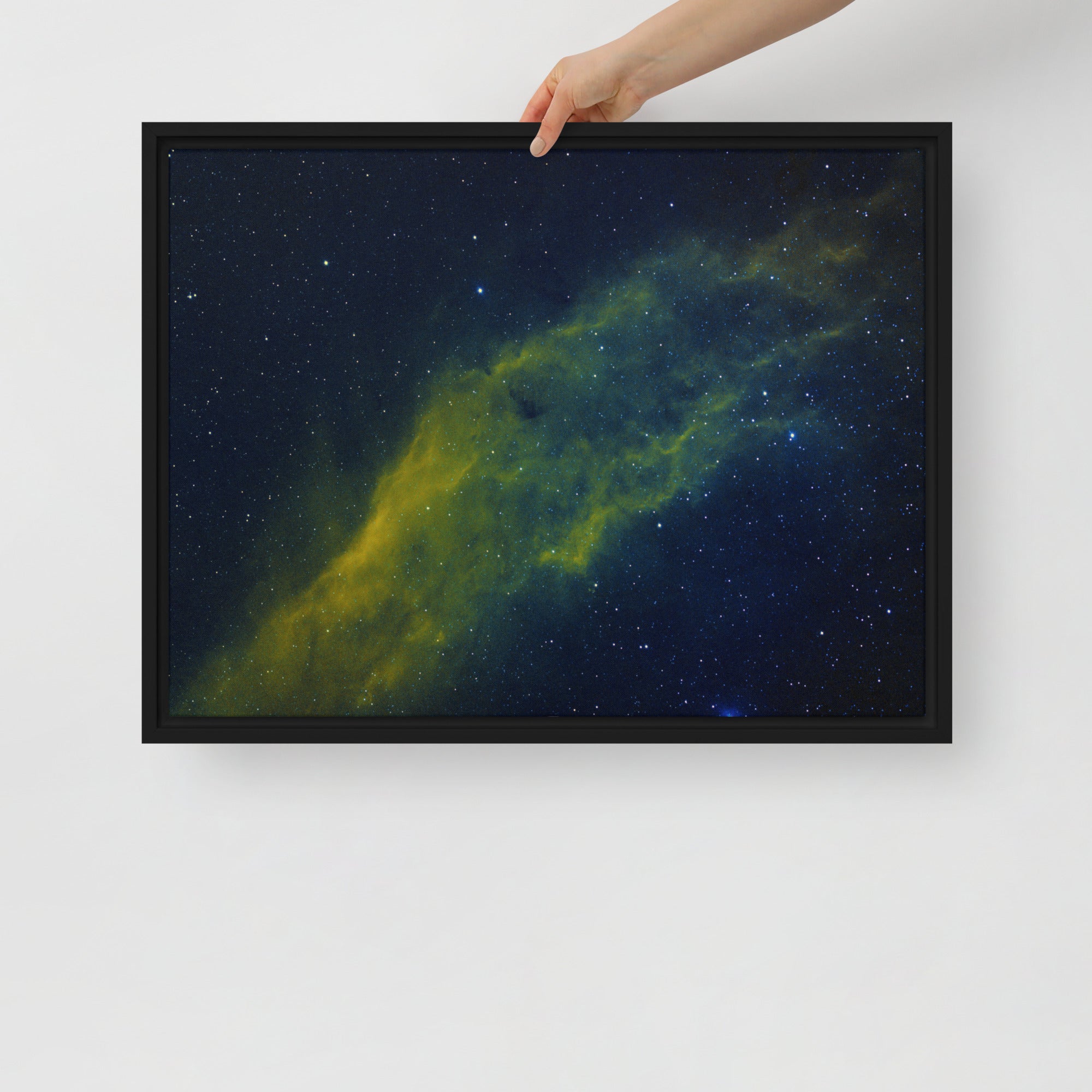 Framed canvas print:  California Nebula Hubble Palette