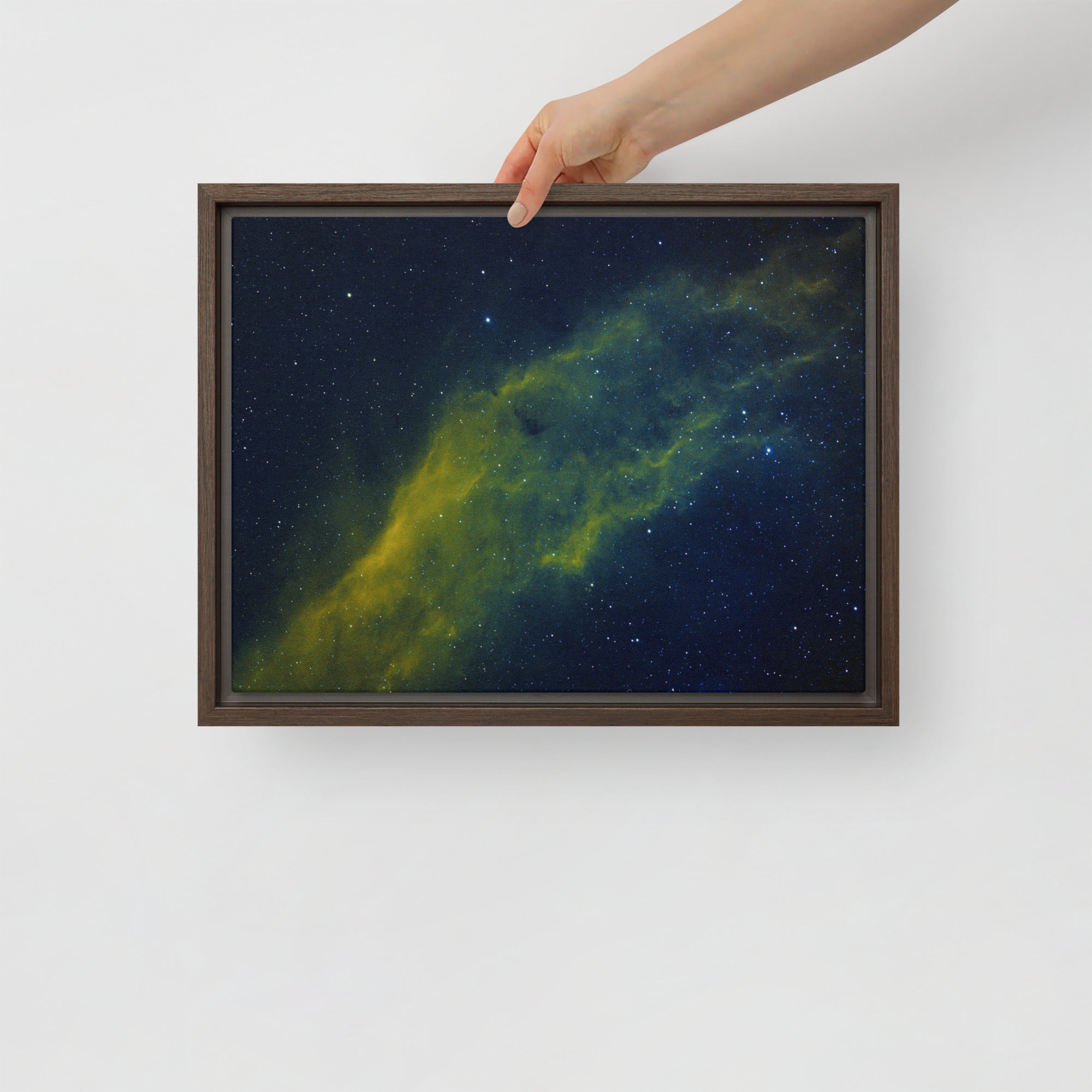 Framed canvas print:  California Nebula Hubble Palette