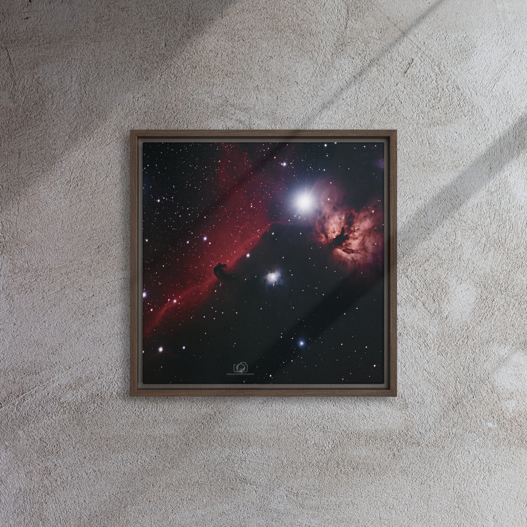 Framed canvas prints:  Horsehead & Flame Nebula