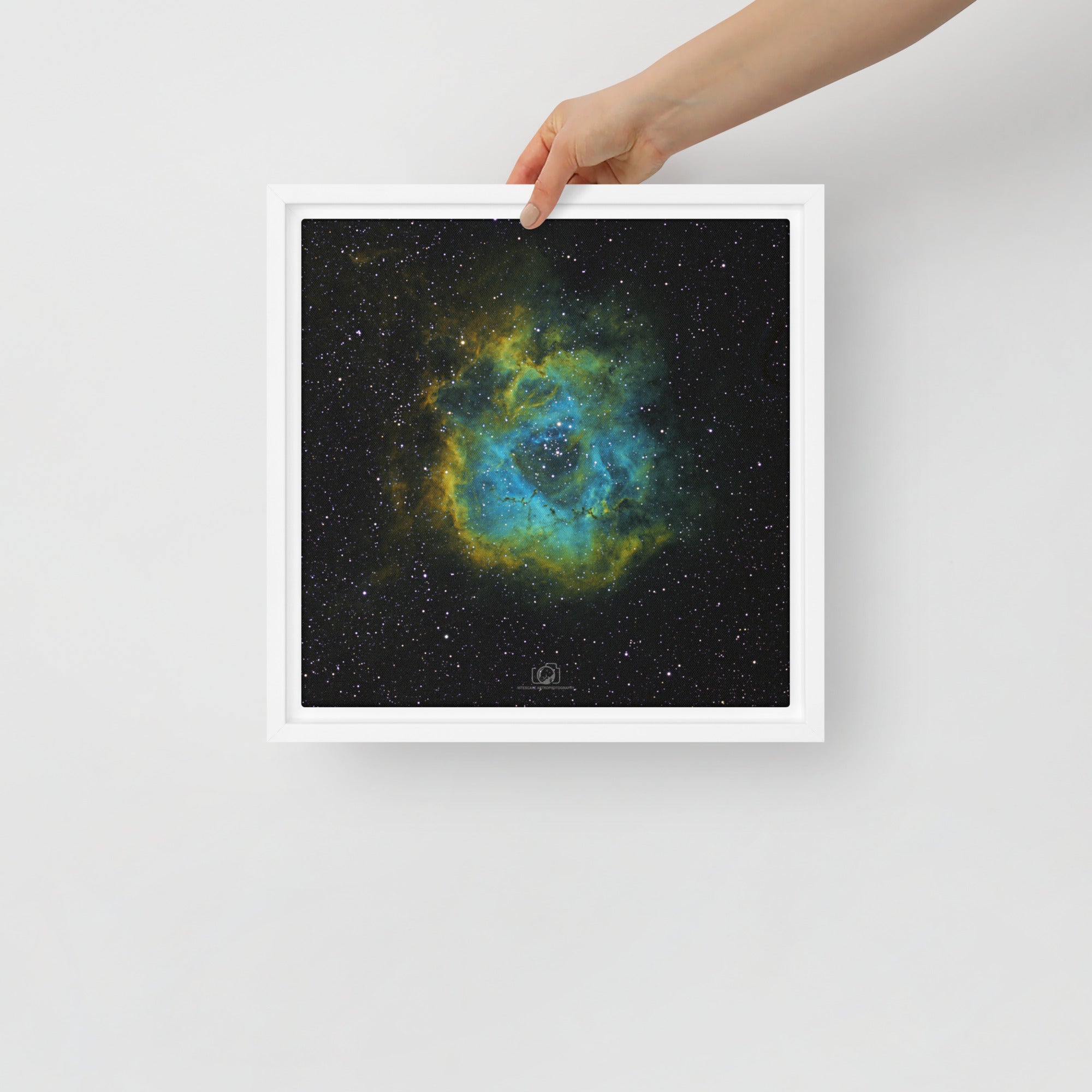Framed canvas prints:  Rosette Nebula Hubble Palette